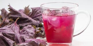 3 thời điểm tốt nhất nên uống lá tía tô mà ít người biết