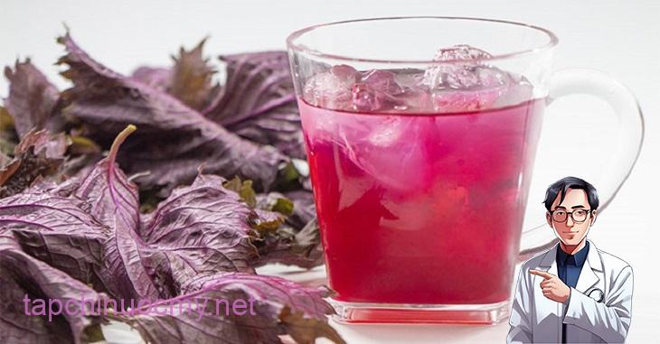 Uống Nước Lá Tía Tô Vào Thời Điểm Nào Là Tốt Nhất? - Công ty cổ phần dược Thiên Y Phúc