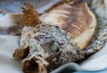 2 loại cá dễ gây ungthư nhiều người ăn