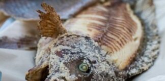 2 loại cá dễ gây ungthư nhiều người ăn