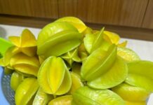 Tɾái khế là “vàng mười” cho sức khỏe, dùng chữɑ Ьệnh thế nào là ƌúng?