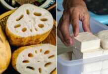 Kinh nghiệm người xưa: “Mua đậu phụ chọn rìa, mua củ sen chọn đốt”, vì sao?