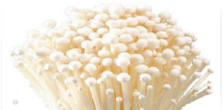 Bí quyết chọn nấm kim châm tươi ngon chuẩn chất lượng, ai không biết phí một đời