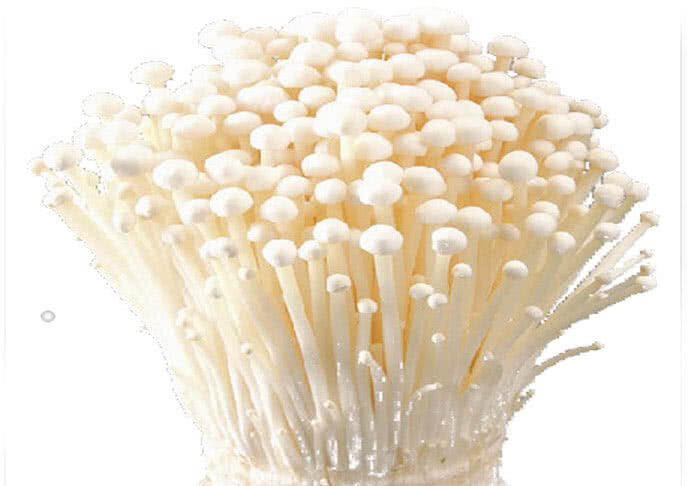 Bí quyết chọn nấm kim châm tươi ngon chuẩn chất lượng, ai không biết phí một đời