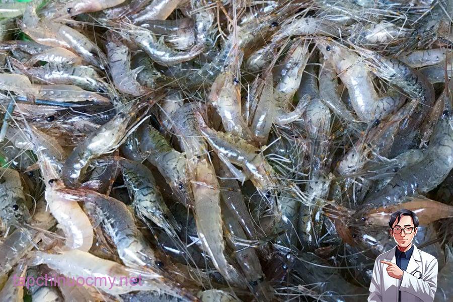 nuoi-tom-dong-3_1631004035