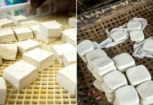 Phân biệt đậu phụ sạch và đậu phụ thạch cao: Nhất định phải nhìn vào 4 điểm này