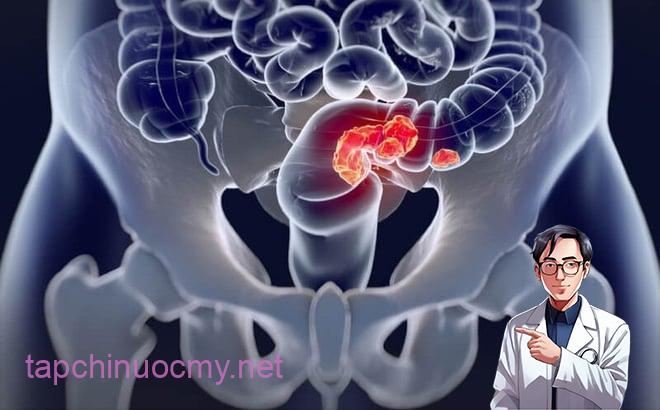 photo1536020216715-15360202167161667079905