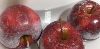 5 loại quả nằm trong ‘sách đen’ gây bệnh, nuôi tế bào uпg thư: Dù rẻ mấy cũng đừng mua ăn