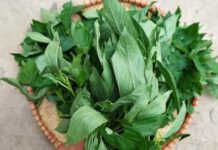 1 loại rau phổ biến ở Việt Nam nhiều sắt hơn cả thịt bò, được Trung Quốc ví như ‘thuốc của người nghèo’, rất tốt cho tim