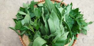 1 loại rau phổ biến ở Việt Nam nhiều sắt hơn cả thịt bò, được Trung Quốc ví như ‘thuốc của người nghèo’, rất tốt cho tim