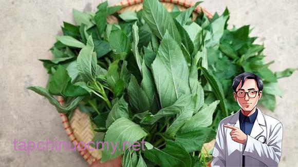 1 loại rau phổ biến ở Việt Nam nhiều sắt hơn cả thịt bò, được Trung Quốc ví như ‘thuốc của người nghèo’, rất tốt cho tim