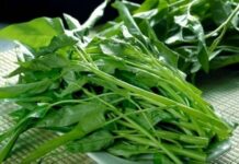 Những người mắc 3 loại b:ệnh này nên cẩn thận khi ăn rau muống