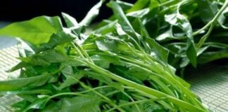 Những người mắc 3 loại b:ệnh này nên cẩn thận khi ăn rau muống