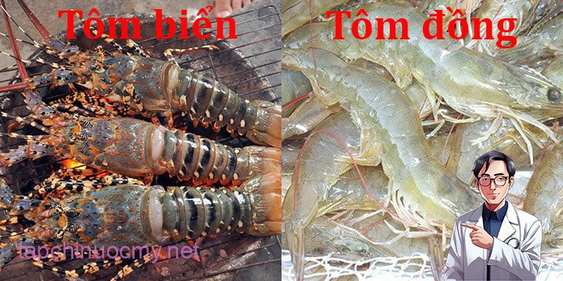 su-khac-biet-dinh-duong-giua-tom-bien-va-tom-dong-h1_800x400