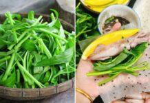 Tác hại của việc ăn rau muống sống