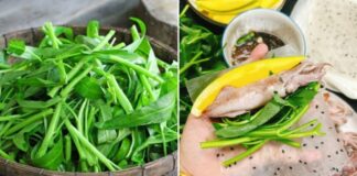 Tác hại của việc ăn rau muống sống