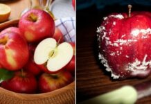 Táo nhập khẩu cả tháng không hỏng có phải do chất bảo quản? Chuyên gia giải thích, lý do không như nhiều người nghĩ