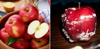 Táo nhập khẩu cả tháng không hỏng có phải do chất bảo quản? Chuyên gia giải thích, lý do không như nhiều người nghĩ