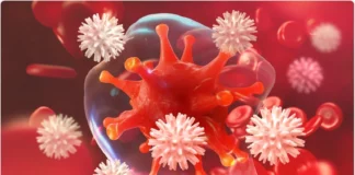 Có phải ai cũng có tế bào u ng thư trong người?