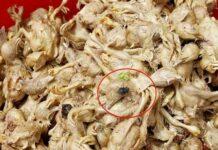 Phải tới 90% người Việt mắc u ng th ư đều do thủ phạm số 1 này gây nên