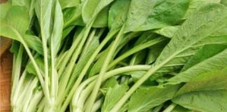 BS Bệnh viện K tiết lộ thường xuyên ăn rau cải, phòng ngừa 4 bệnh này