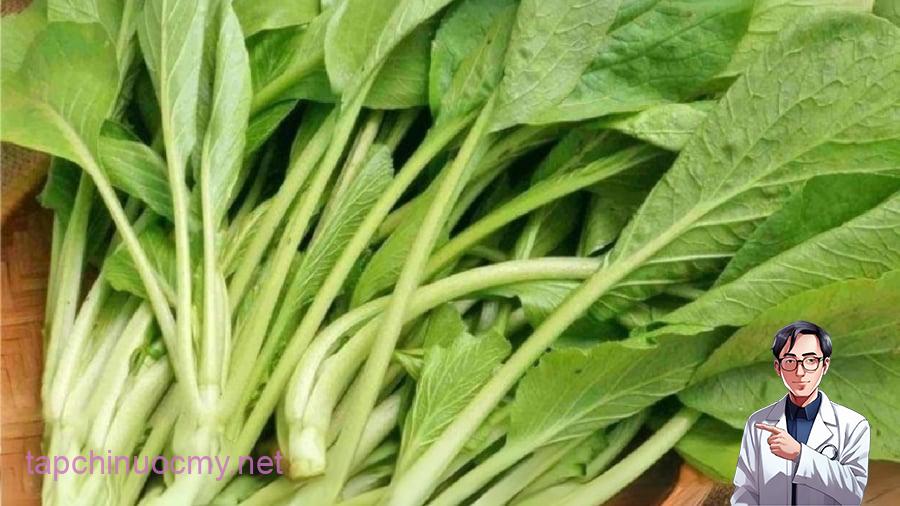 Thường xuyên ăn rau cải giúp phòng ngừa bệnh tật, trong đó có cả ung thư.