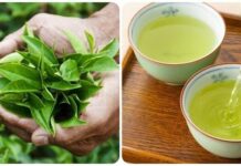 5 loại nước tốt cho thận của bạn: Đặc biệt loại thứ nhất, chẳng mất tiền càng uống càng trường thọ