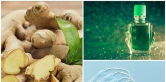 Nhỏ dầu gió vào gừng tươi: Có tác dụng cực tốt trị cảm lạnh, giảm nghẹt mũi ai cũng thích