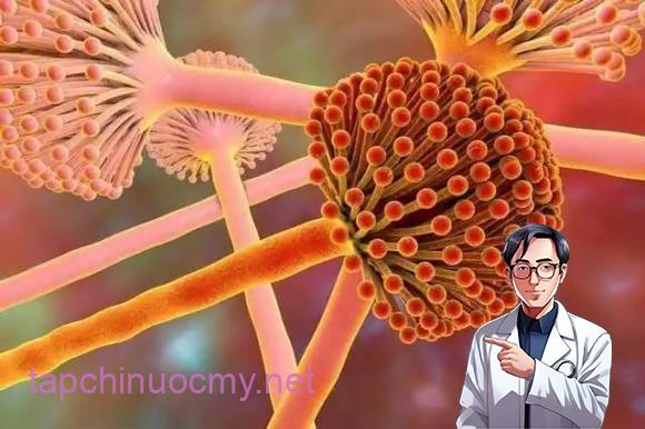 ung-thu-gan (1).jpg 1