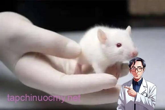 ung-thu-gan (1).jpg 2