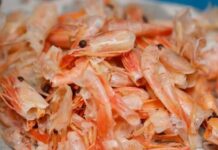 Việt Nam lãng phí “mỏ vàng” từ vỏ tôm: Giá trị gấp 25 lần tôm, cơ hội tỷ đô ai nắm sẽ giàu