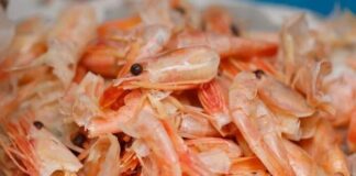 Việt Nam lãng phí “mỏ vàng” từ vỏ tôm: Giá trị gấp 25 lần tôm, cơ hội tỷ đô ai nắm sẽ giàu