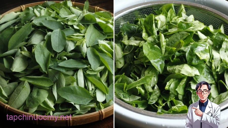Khi nấu rau ngót, nhiều người có thói quen vò nát rau rồi mới cho vào nồi. 