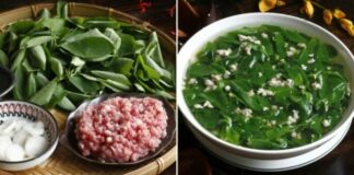 Tại sao phải vò rau ngót trước khi nấu?