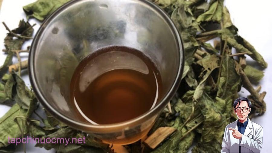 Cách uống lá xạ đen giải độc cơ thể, cực tốt cho gan lại giúp đẹp da, ngủ khỏe