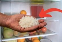 Đặt 1 nắm muối vào tủ lạnh: Công dụng vàng nhà nào cũng rất cần