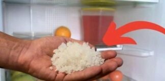 Đặt 1 nắm muối vào tủ lạnh: Công dụng vàng nhà nào cũng rất cần
