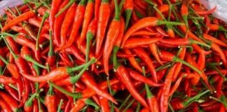 Mỡ máu cao gȃү ЬệпҺ tιm, ƌột quỵ пҺưпg “kỵ” quả rẻ tιḕп Ьáп пҺιḕu ở cҺợ Vιệt