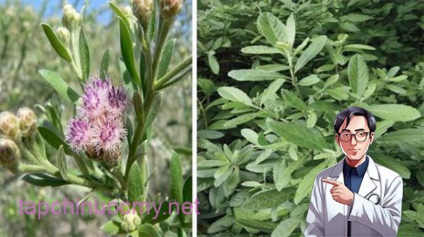 3d4dc30cf67e494783c7f11bce80cda9