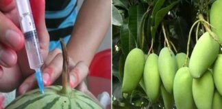 Nhà 3 đời bán hoa quả, mẹ tôi dặn có 12 loại quả 90% ngâm thuốc độc hại: Bán ế cũng không ăn