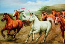 Vì sao trong bức tranh ‘Mã đáo thành công’ luôn có 1 con ngựa quay đầu nhìn lại