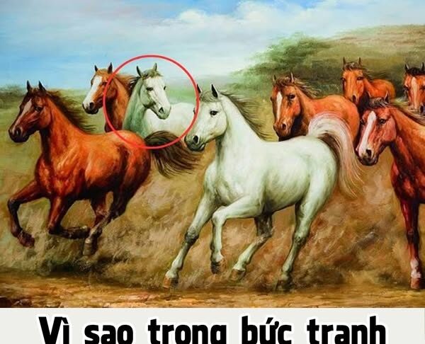Vì sao trong bức tranh ‘Mã đáo thành công’ luôn có 1 con ngựa quay đầu nhìn lại