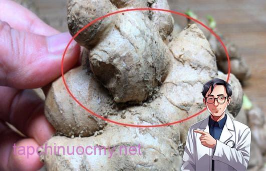 cách chọn mua gừng, nấu ăn, mẹo vặt