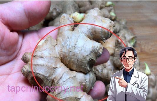 cách chọn mua gừng, nấu ăn, mẹo vặt