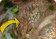 Thịt bò có màu sắc óng ánh như 7 sắc cầu vồng có ăn được không?