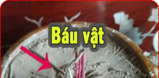 Tro tàn hương là ‘báu vật’ nếu biết tận dụng nó, nhiều người tiếc vì ‘vất tiền’ đi bấy lâu nay