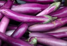 Cà tím ngon bổ rẻ nhưng sẽ hóa “đ:ộ:c” nếu không lưu ý 8 điều quan trọng khi sử dụng