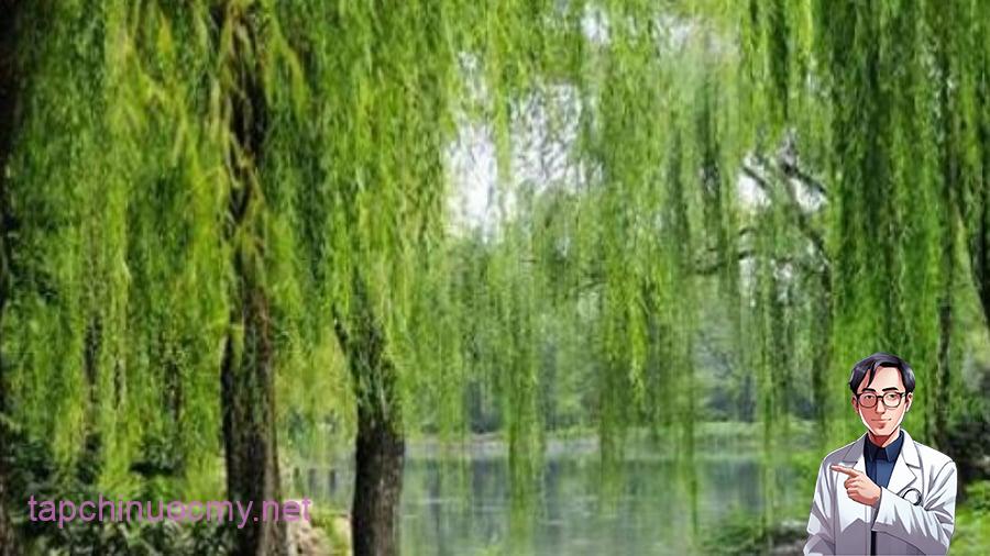 4 loại cây trồng trước nhà nghèo khổ