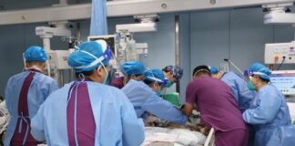 Bé 6 tuổi kêu đau bụng và q:ua đ:ời chỉ sau một ngày: Bác sĩ nói do sai lầm của bố mẹ