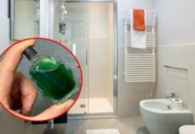 Vì sao nên đặt một lọ dầu gió trong nhà vệ sinh? Có lợi cho cả nam và nữ